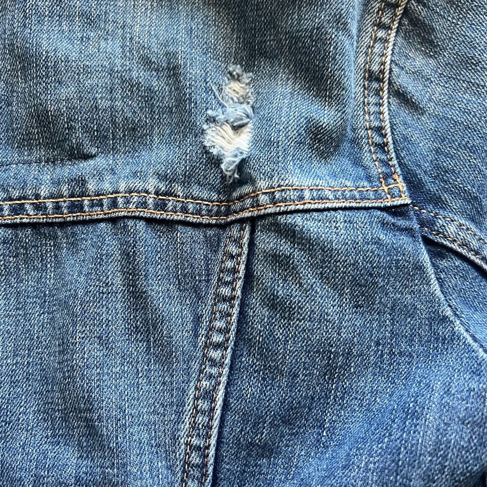 Denim Jacket - Picture 6 of 7